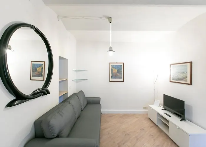 Saragozza - Short Bolonia