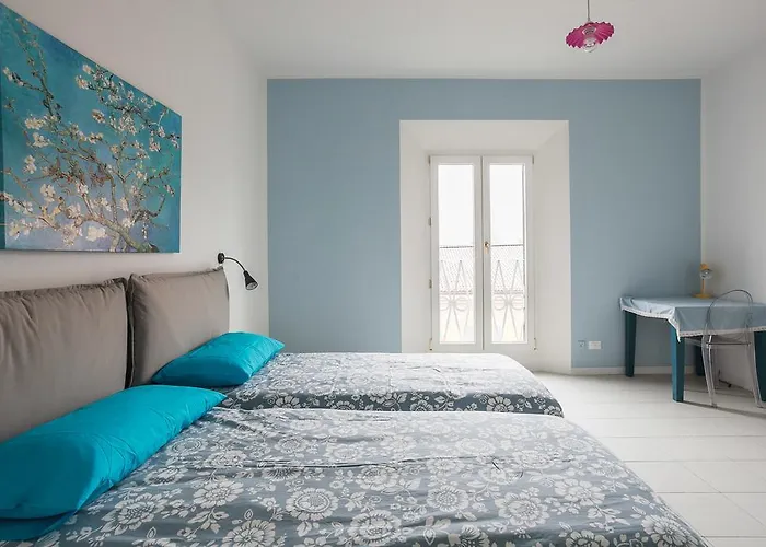 Saragozza - Short Bolonia